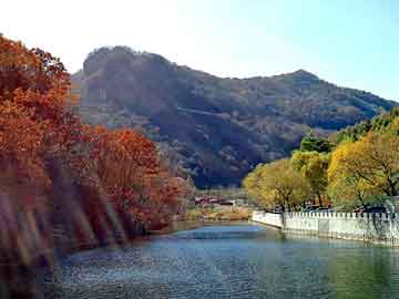 管家婆黑白马报图库，请叫我流氓